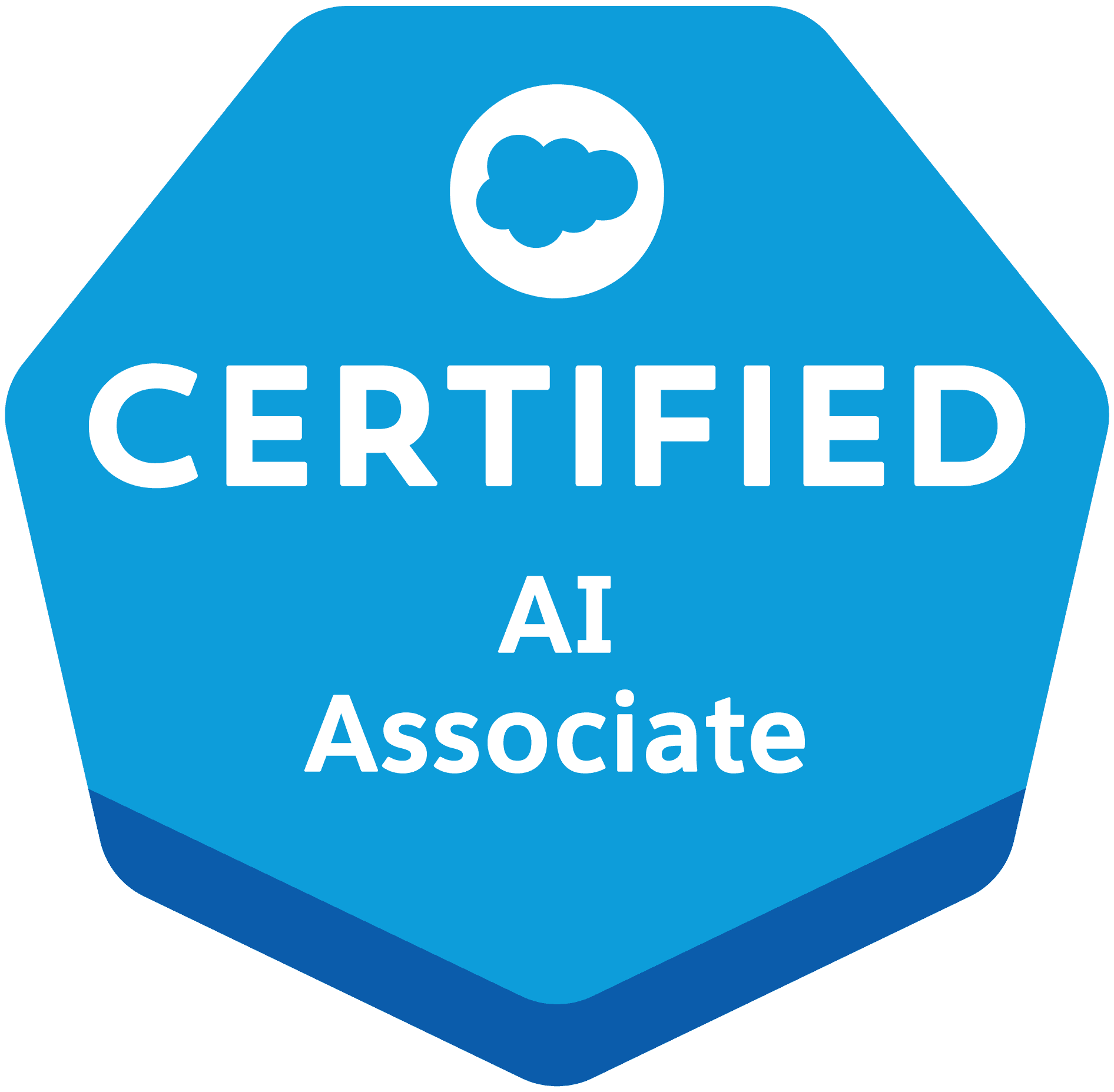 SalesForce AI Associates